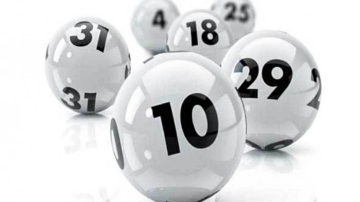 Khám Phá Venus Casino: Địa Chỉ Đá Gà và Xổ Số Hàng Đầu